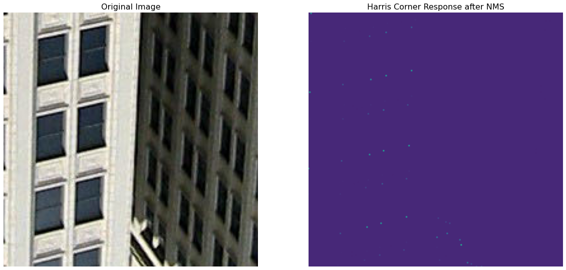 nms_zoom_response